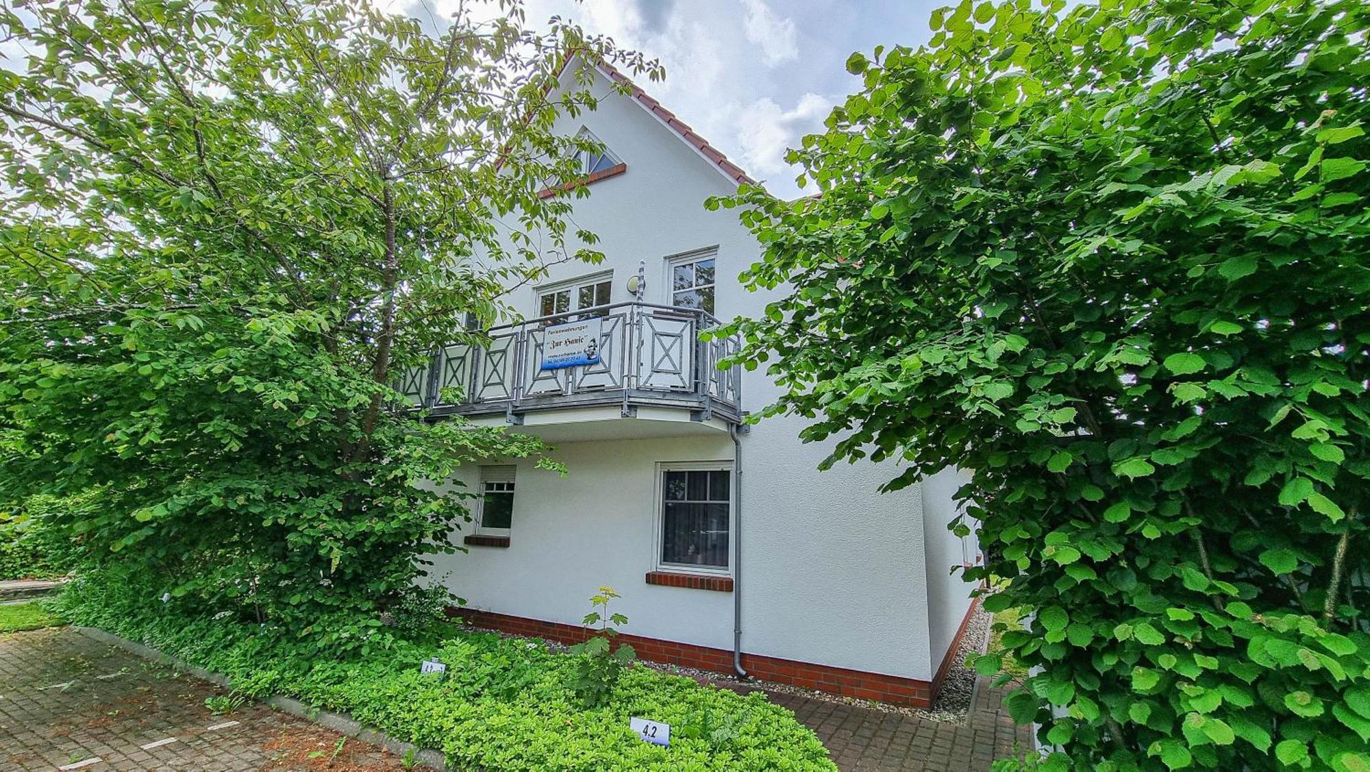 Zur Hanse Wohnung 1 3 - Lingnau Zingst Eksteriør billede